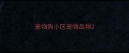 宠物狗小区宠物品种