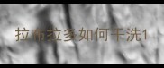 拉布拉多如何干洗