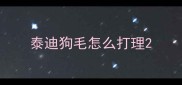 泰迪狗毛怎么打理