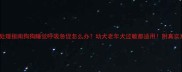 紧急处理指南狗狗睡觉呼吸急促怎么办幼犬老年犬过敏都适用附真实案例