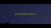 哈士奇声音哑了怎么办