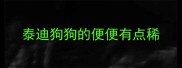 泰迪狗狗的便便有点稀