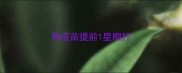 狗疫苗提前1星期打