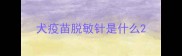 犬疫苗脱敏针是什么