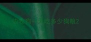 边牧狗一天吃多少狗粮