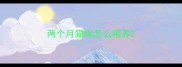 两个月猫咪怎么喂养