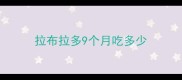 拉布拉多9个月吃多少