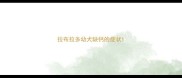 拉布拉多幼犬缺钙的症状