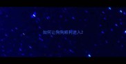 如何让狗狗顺利进入