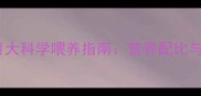 哈士奇五个月大科学喂养指南营养配比与常见问题全