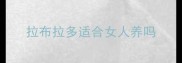 拉布拉多适合女人养吗