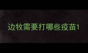 边牧需要打哪些疫苗