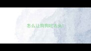 怎么让狗狗吐舌头