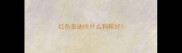 红色泰迪吃什么狗粮好
