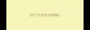 四个月边牧自制粮