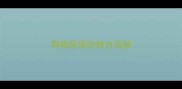 狗狗尿尿的地方流脓
