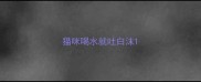 猫咪喝水就吐白沫