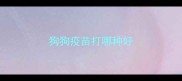 狗狗疫苗打哪种好