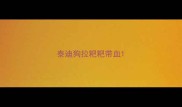 泰迪狗拉粑粑带血