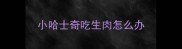 小哈士奇吃生肉怎么办