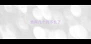 贵宾几个月不长了