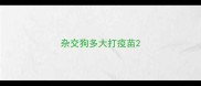 杂交狗多大打疫苗