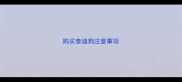 购买泰迪狗注意事项