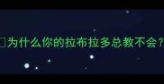 为什么你的拉布拉多总教不会