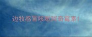 边牧感冒咳嗽阿奇霉素