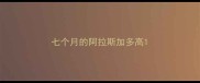 七个月的阿拉斯加多高