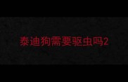 泰迪狗需要驱虫吗