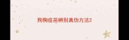 狗狗疫苗辨别真伪方法