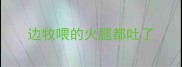 边牧喂的火腿都吐了