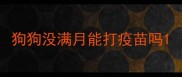 狗狗没满月能打疫苗吗