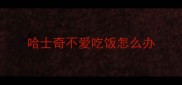 哈士奇不爱吃饭怎么办