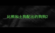 比熊和土狗配出的狗狗