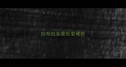 拉布拉多黑色变褐色