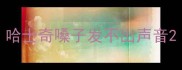哈士奇嗓子发不出声音