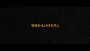 猫咪什么时候脱毛