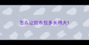 怎么让拉布拉多长得大
