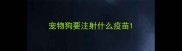 宠物狗要注射什么疫苗
