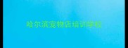 哈尔滨宠物店培训学校