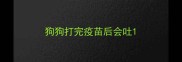 狗狗打完疫苗后会吐