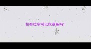 拉布拉多可以吃草鱼吗