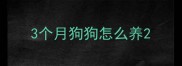 3个月狗狗怎么养