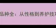 新手必看30种猫咪品种全从性格到养护技巧养猫人必备指南