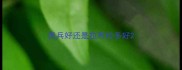 贵兵好还是拉布拉多好