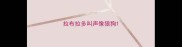 拉布拉多叫声像狼狗