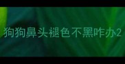 狗狗鼻头褪色不黑咋办