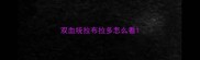 双血统拉布拉多怎么看